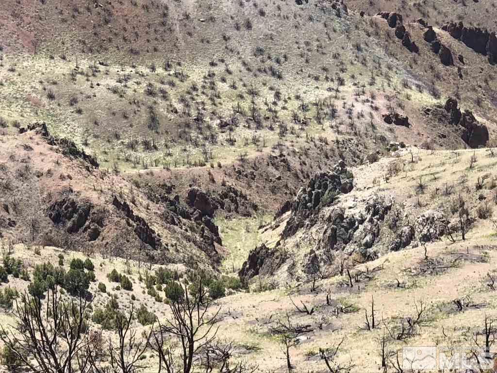 Tbd Piute Creek Road Reno, NV 89510 - Photo 22 of 40 Photo 22