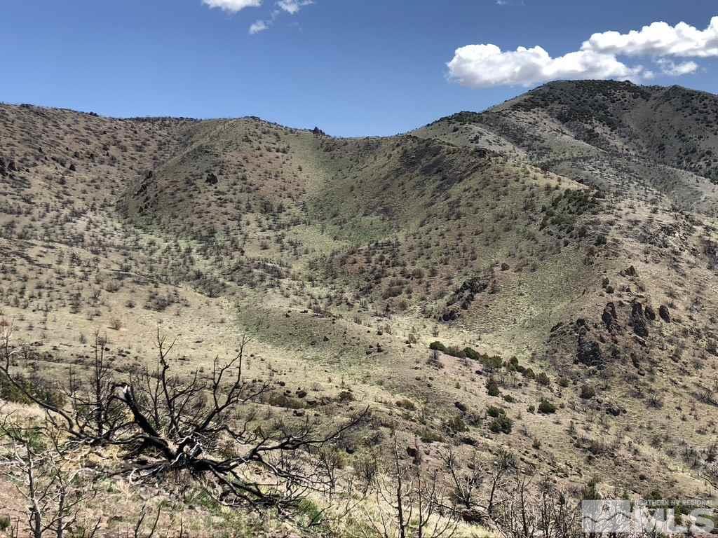 Tbd Piute Creek Road Reno, NV 89510 - Photo 23 of 40 Photo 23