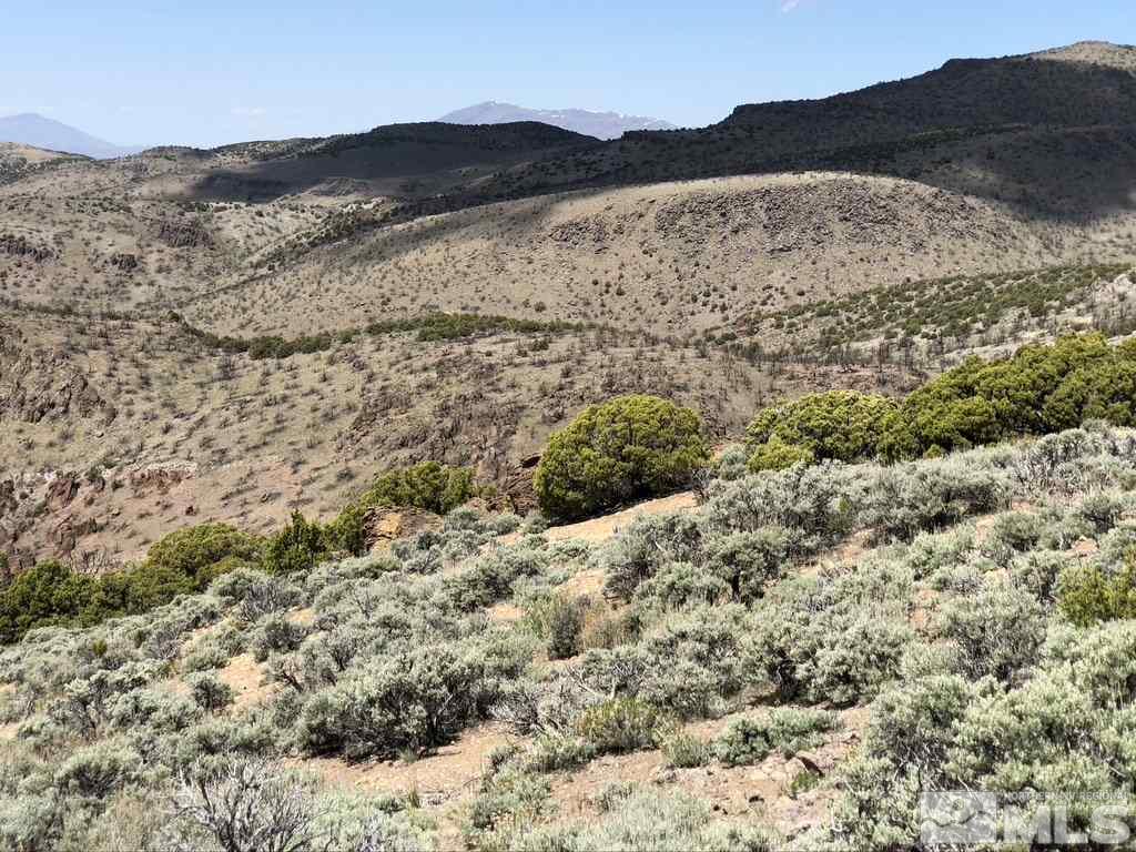Tbd Piute Creek Road Reno, NV 89510 - Photo 29 of 40 Photo 29