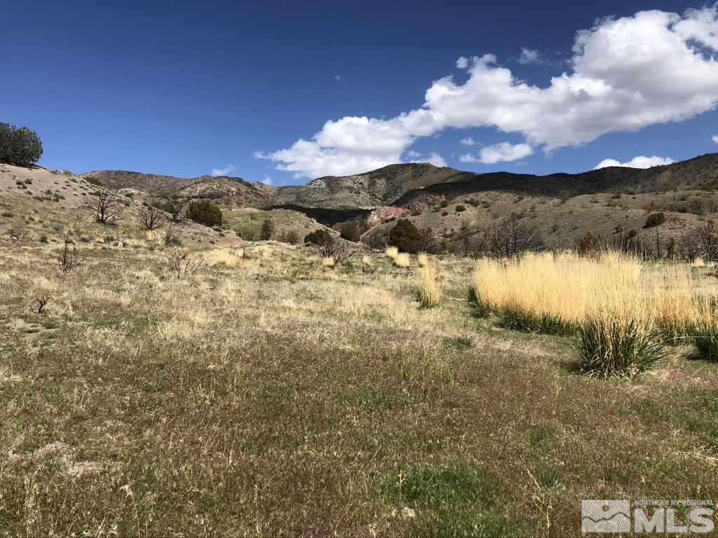Tbd Piute Creek Road Reno, NV 89510 - Photo 3 of 40 Photo 3