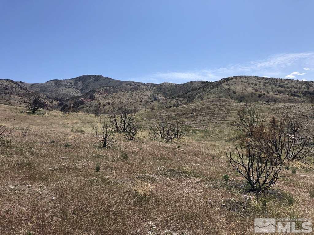 Tbd Piute Creek Road Reno, NV 89510 - Photo 8 of 40 Photo 8