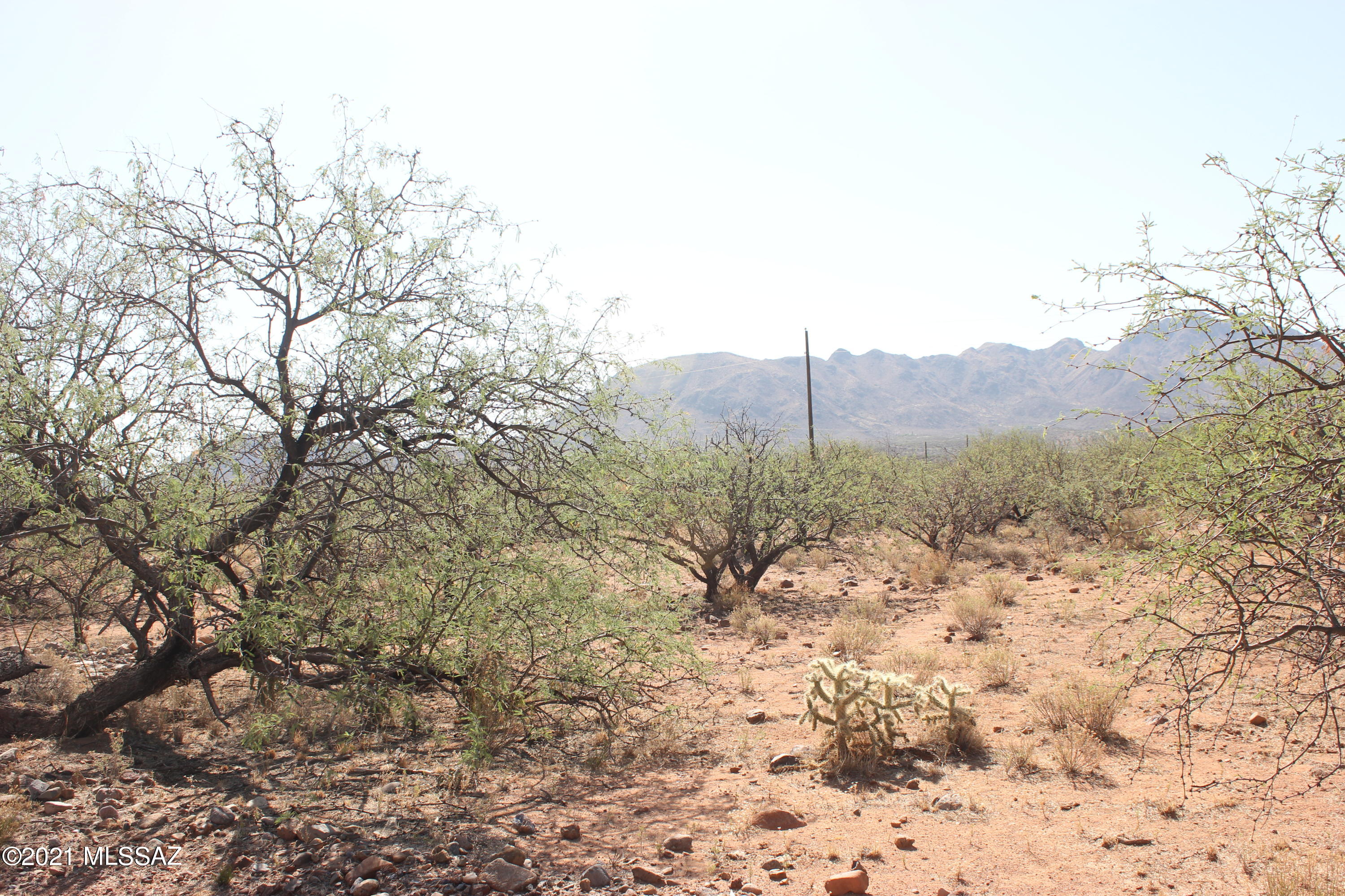 35 Camino India, Unit 8 Rio Rico, AZ 85648 - Photo 3 of 3