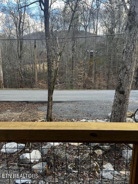 386 Laurel Road Townsend, TN 37882 - Photo 4 of 25 IMG_2446