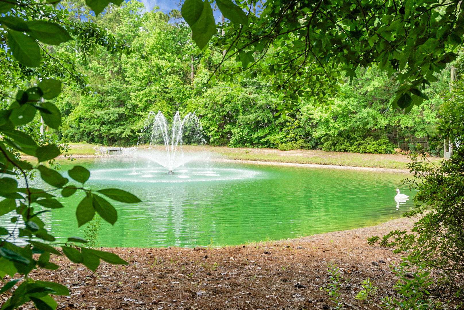 184 Angora Way Summerville, SC 29485 - Photo 55 of 55 DSC06052