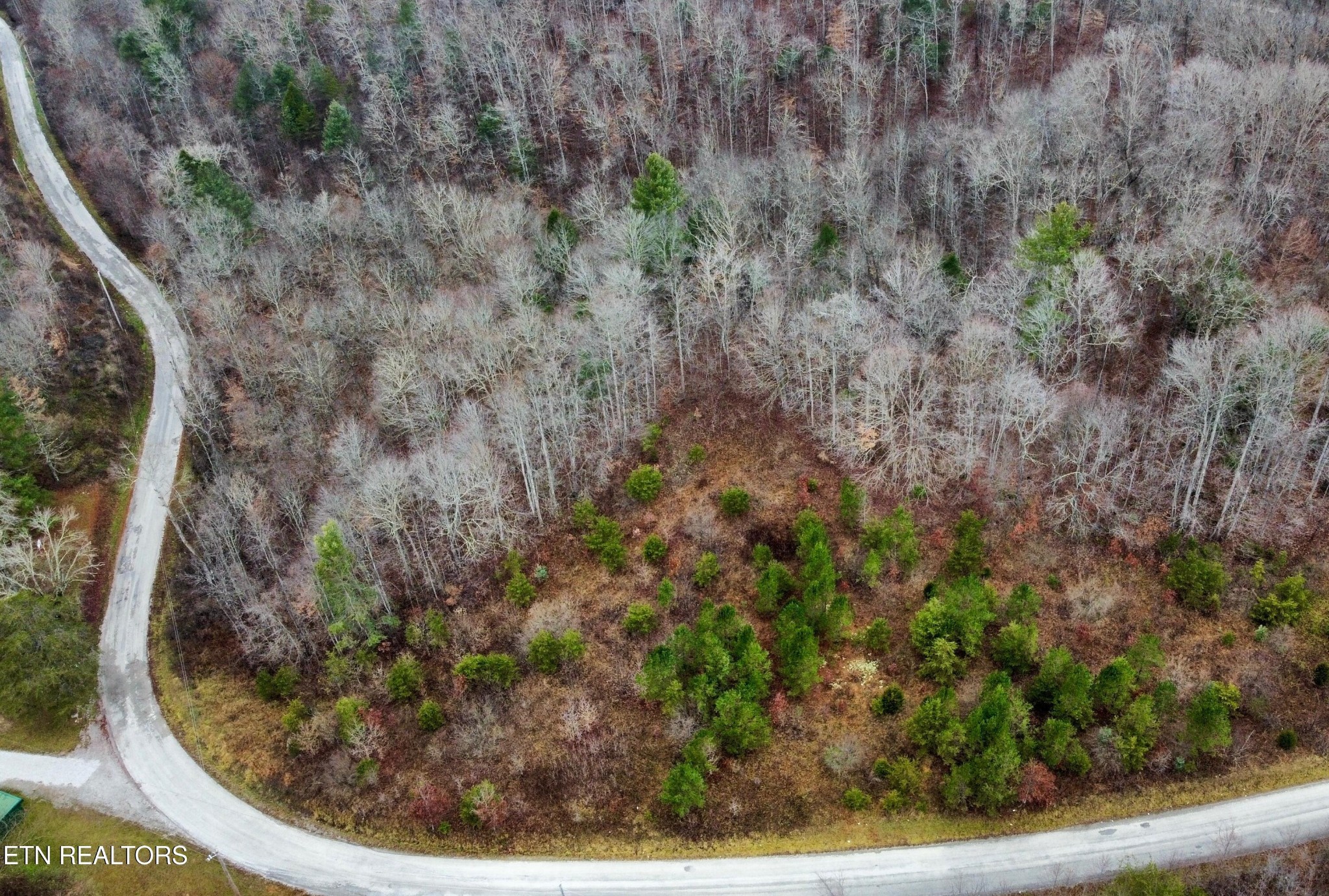 0 Rock House Road Pioneer, TN 37847 - Photo 12 of 14 Gallery Image 12