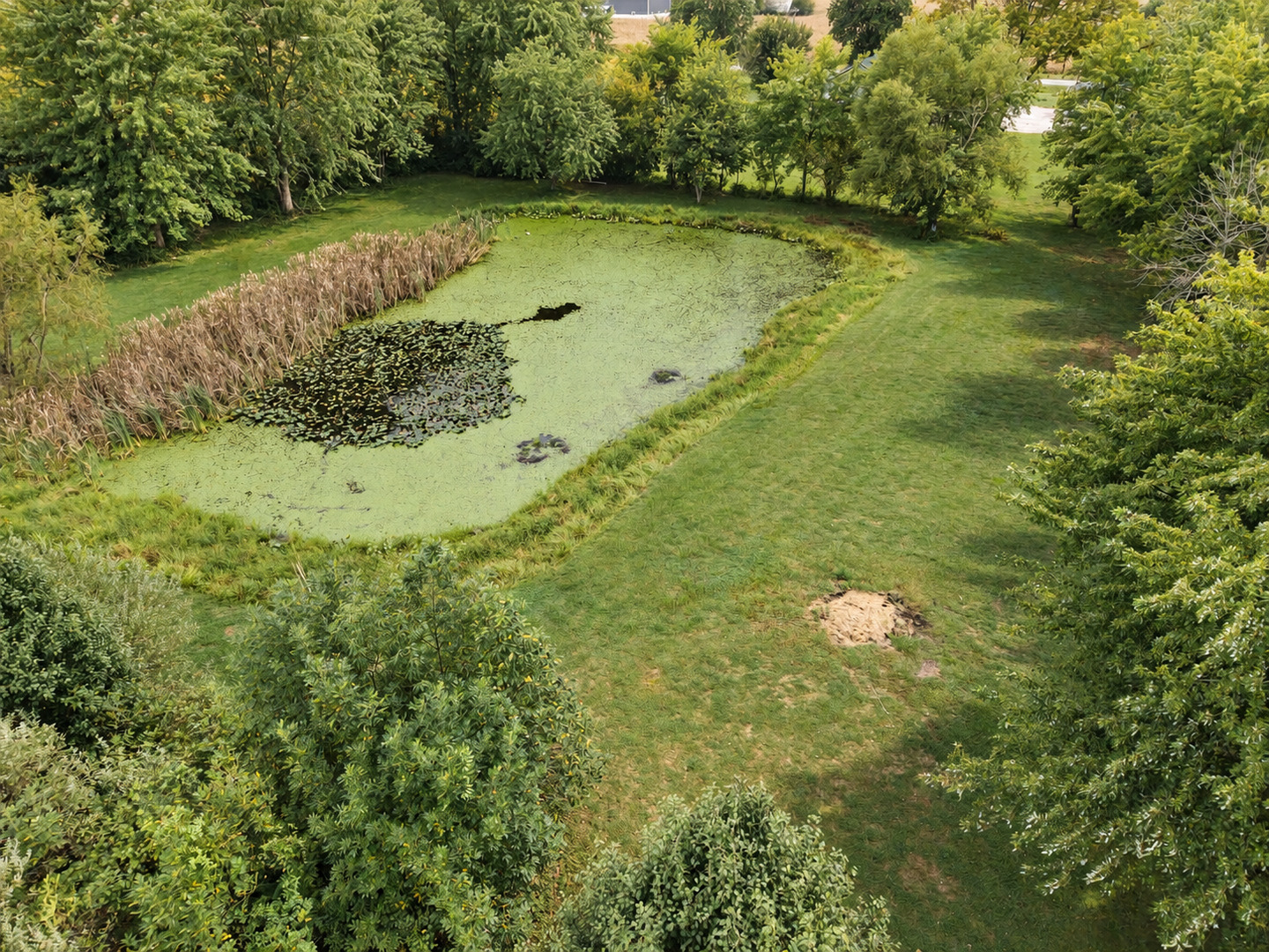 2076 North State Road Flora, IL 62839 - Photo 83 of 100 Gallery Image 83