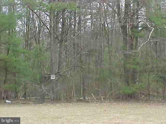 R.r. R R R R Valley Road Marysville, PA 17053 - Photo 2 of 5 Gallery Image 2