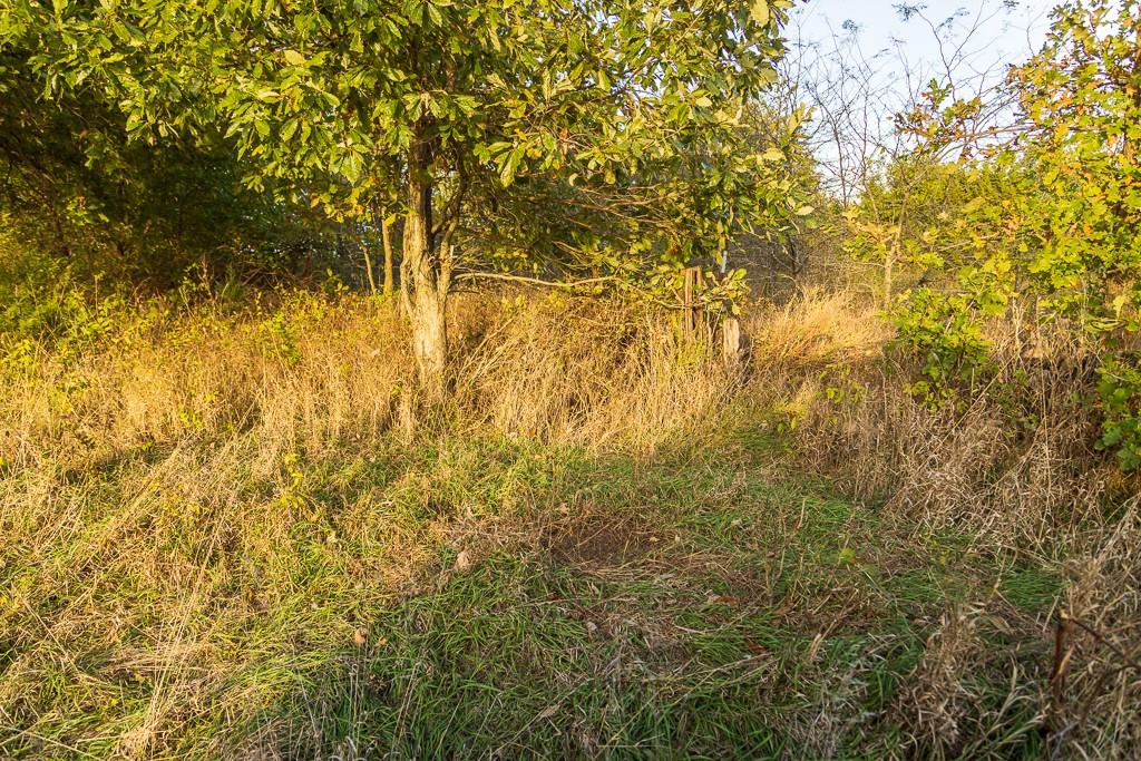 31620 A Northeast 2400 Road Greeley, KS 66033 - Photo 63 of 90