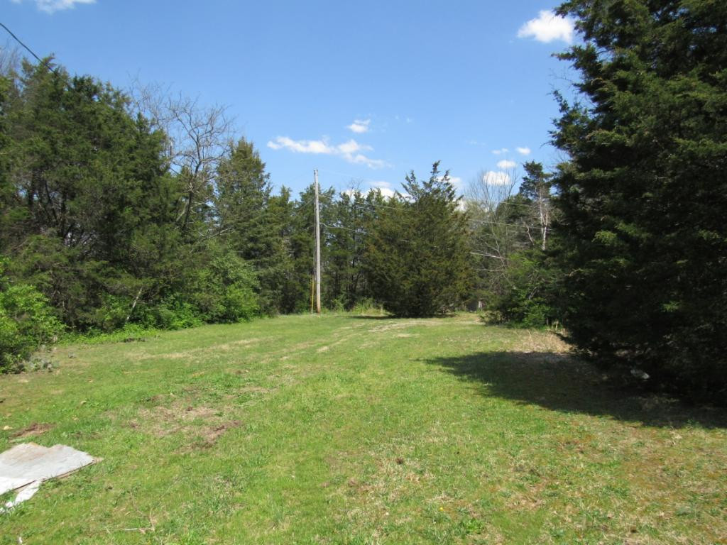 377 Ealey Road Greeneville, TN 37743 - Photo 21 of 23 Nice place for a garden