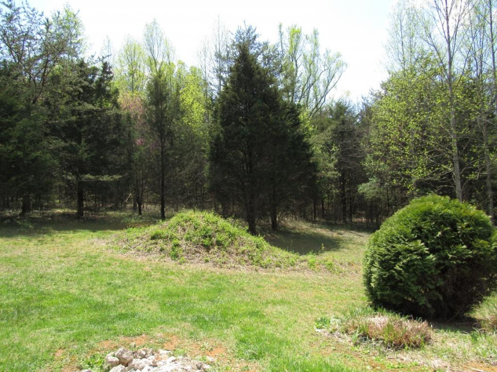 377 Ealey Road Greeneville, TN 37743 - Photo 23 of 23 Photo 23