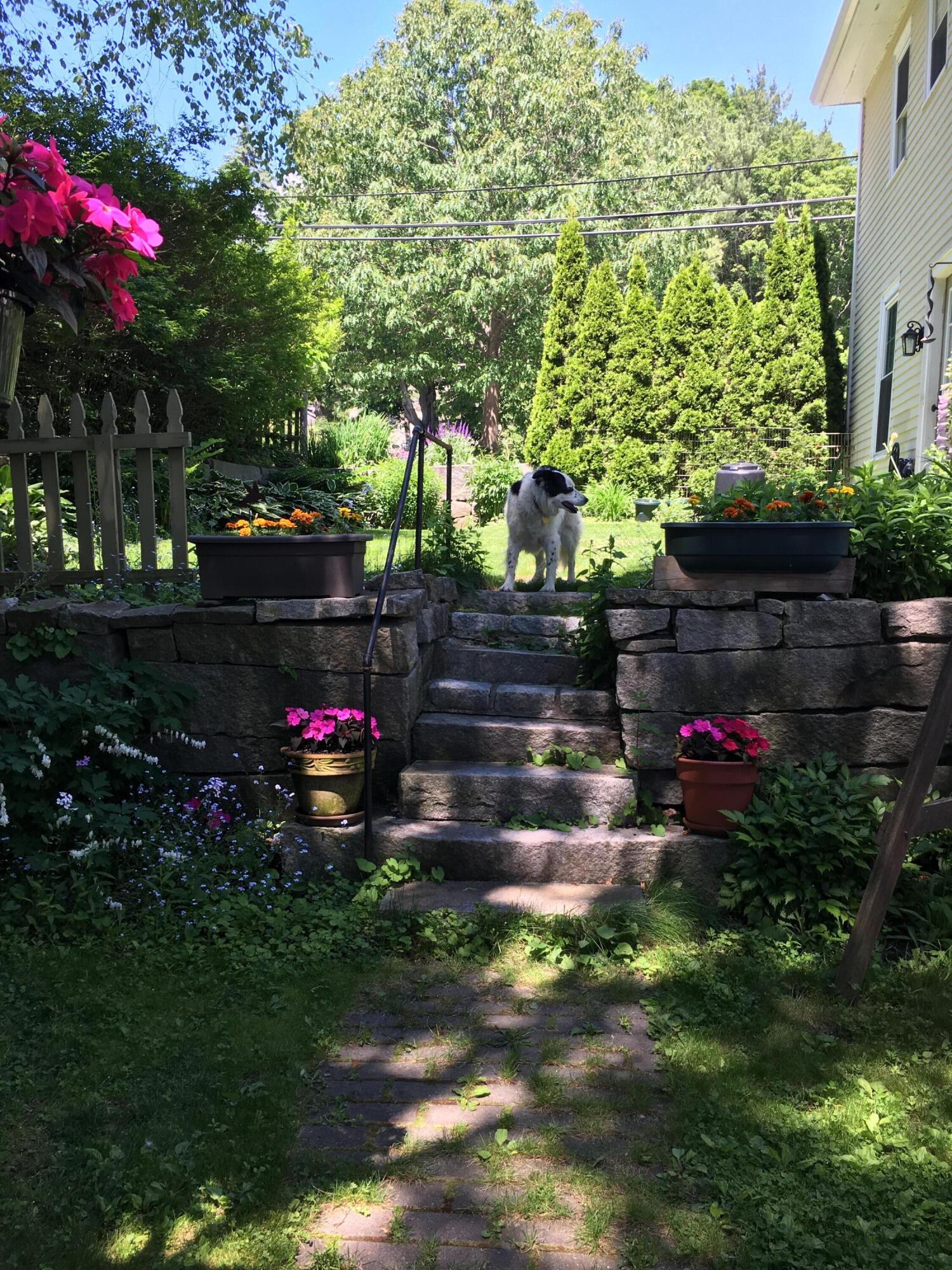 2 Warren Street Hallowell, ME 04347 - Photo 14 of 85 IMG_1030