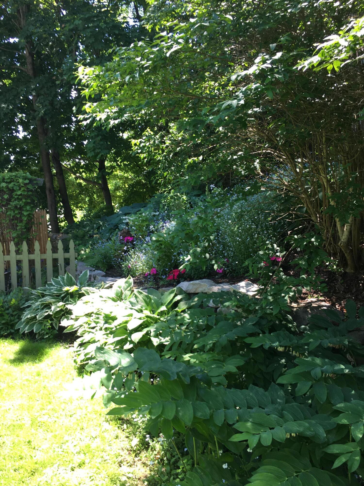 2 Warren Street Hallowell, ME 04347 - Photo 75 of 85 IMG_1016