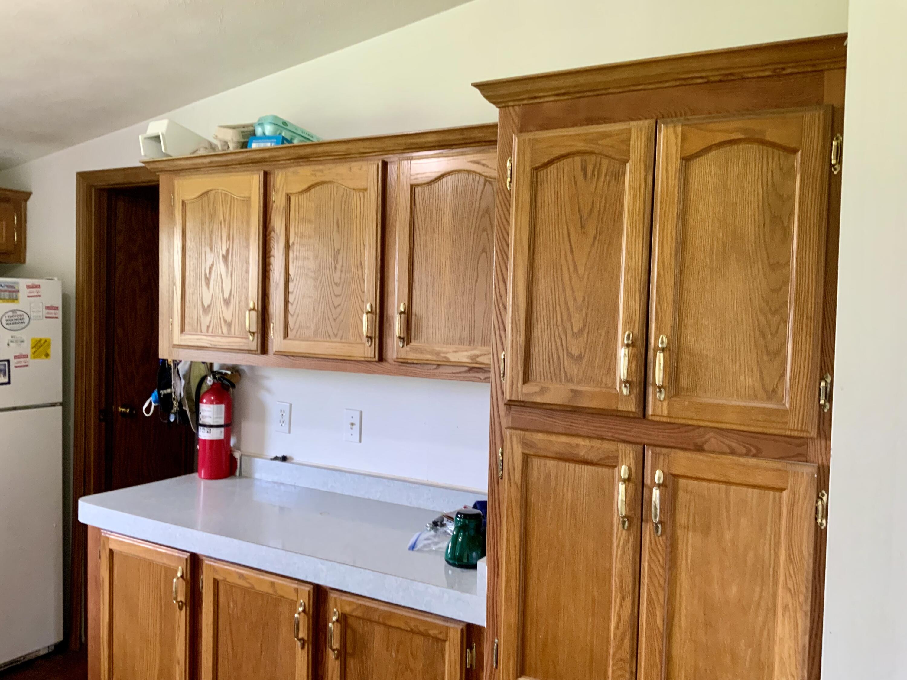 14119 South Lowell Road Lansing, MI 48906 - Photo 15 of 42 IMG_1225