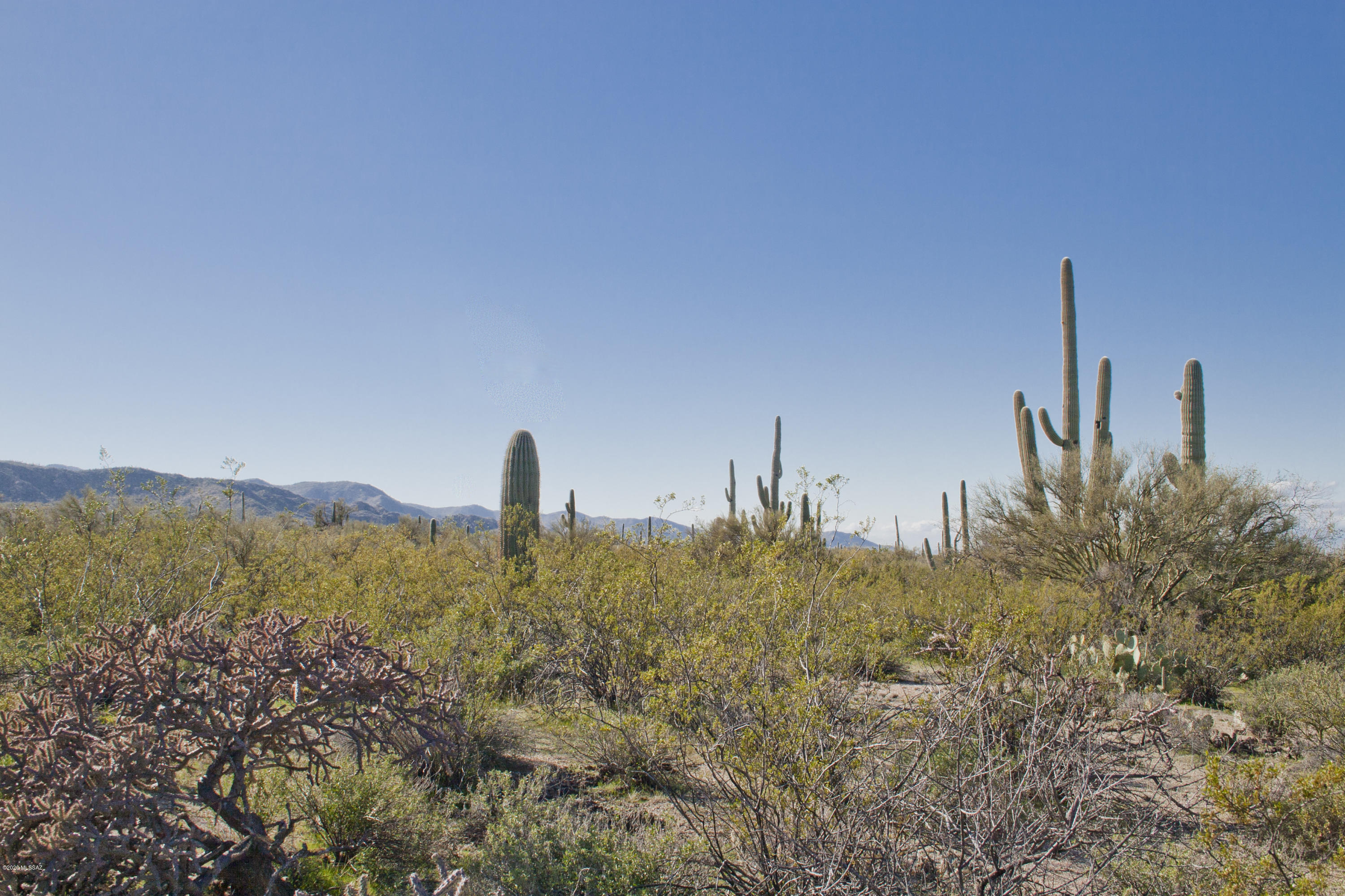 0 South Deerfield Road Marana, AZ 85658 - Photo 7 of 26