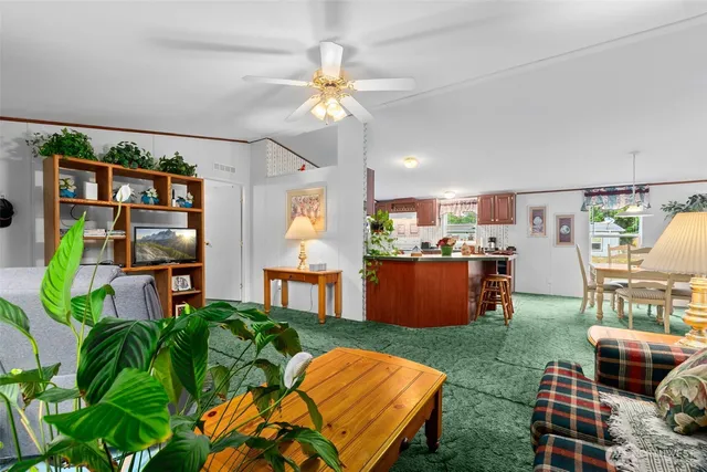 a living room view with furniture and a potted plant