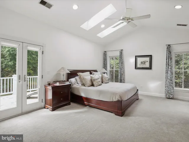 a view of a yard with plants and trees