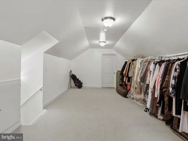 a view of a forest with trees