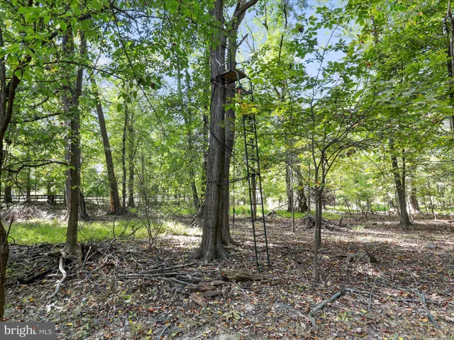 $1,275,000 | 19935 Foggy Bottom Road, Bluemont, VA 20135