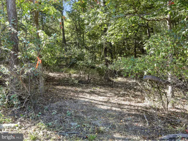 $1,275,000 | 19935 Foggy Bottom Road, Bluemont, VA 20135