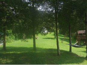 18660 Cleveland Road Abingdon, VA 24211 - Photo 8 of 8 Photo 10
