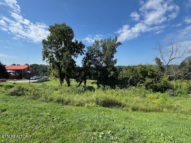 153 Adams Lane Tazewell, TN 37879 - Photo 29 of 30 IMG_2586