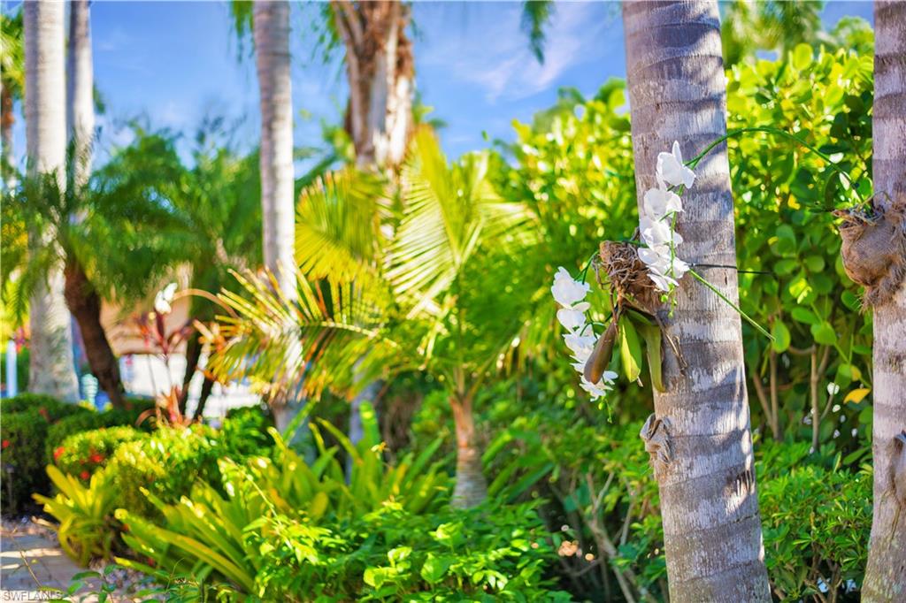 13553 Snapper Lane Naples, FL 34114 - Photo 6 of 24