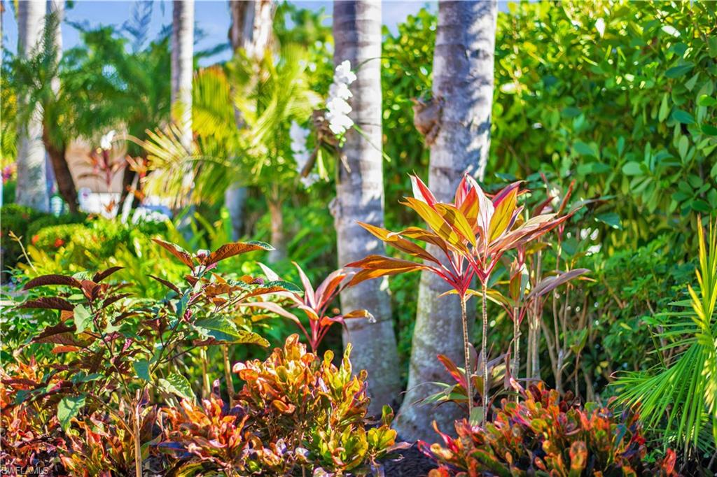 13553 Snapper Lane Naples, FL 34114 - Photo 7 of 24