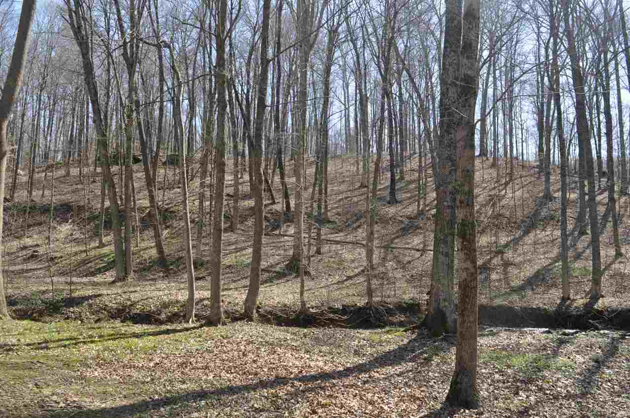8520 South State Road Birdseye, IN 47513 - Photo 21 of 24 Gallery Image 21