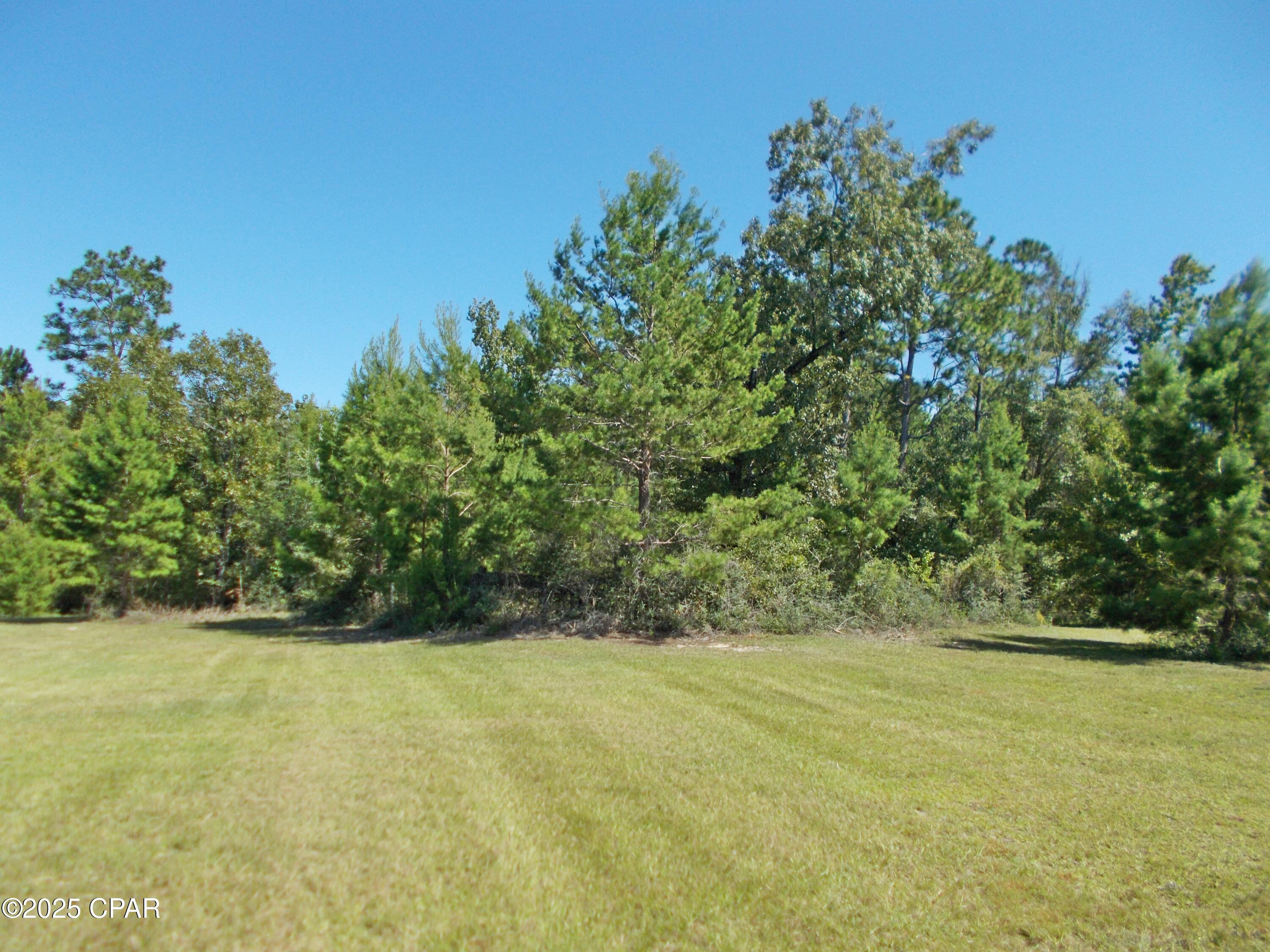 -melon Melon Lane Grand Ridge, FL 32442 - Photo 2 of 2