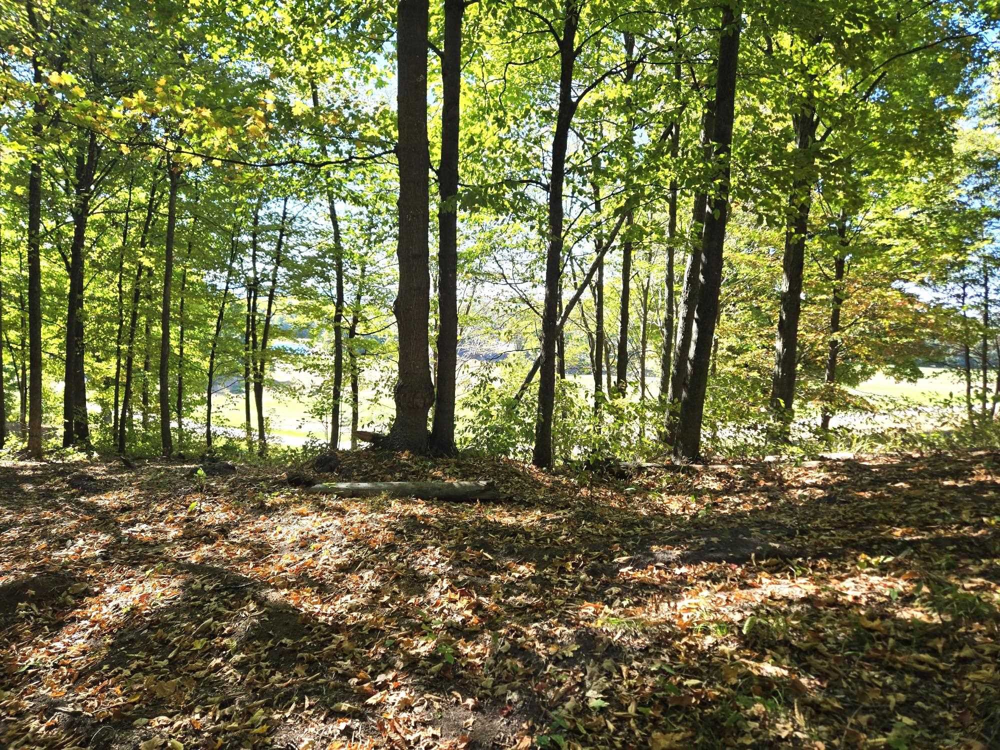 13 Heather Ridge Trail Beulah, MI 49617 - Photo 5 of 9