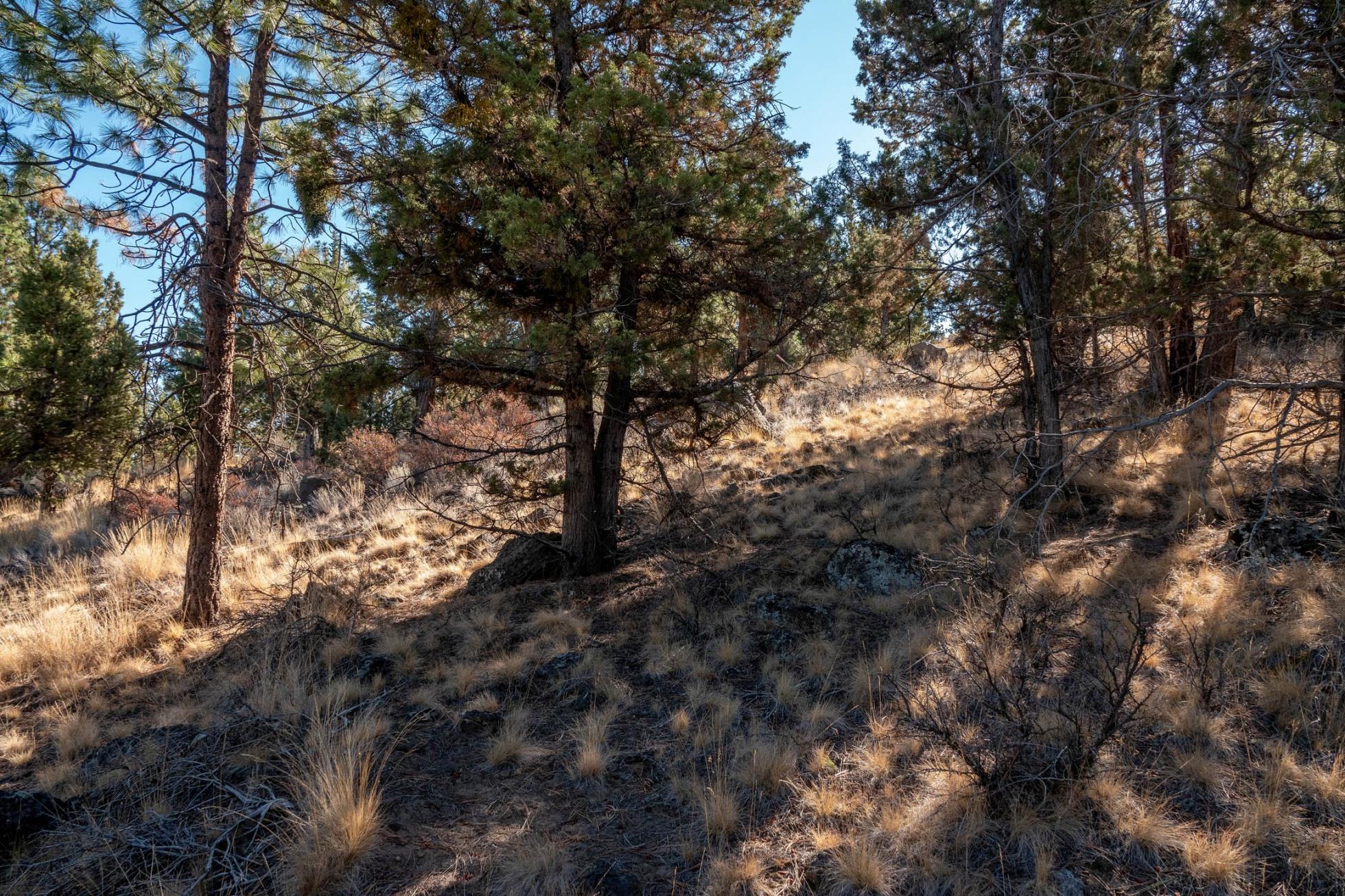 1243 Archie Briggs Road Bend, OR 97703 - Photo 4 of 29 batch_10