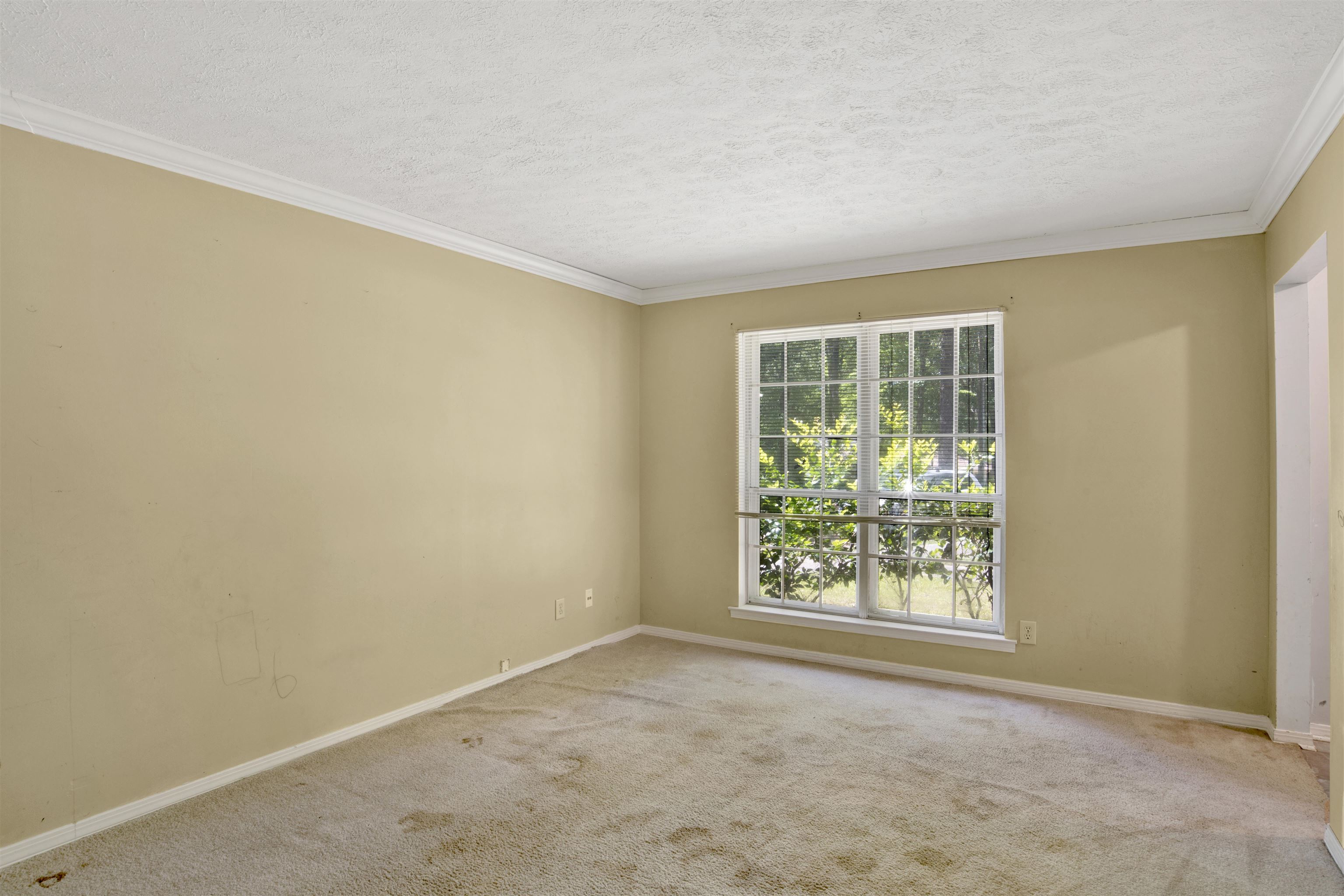 109 Paige Circle Daphne, AL 36526 - Photo 12 of 46 Den/Office