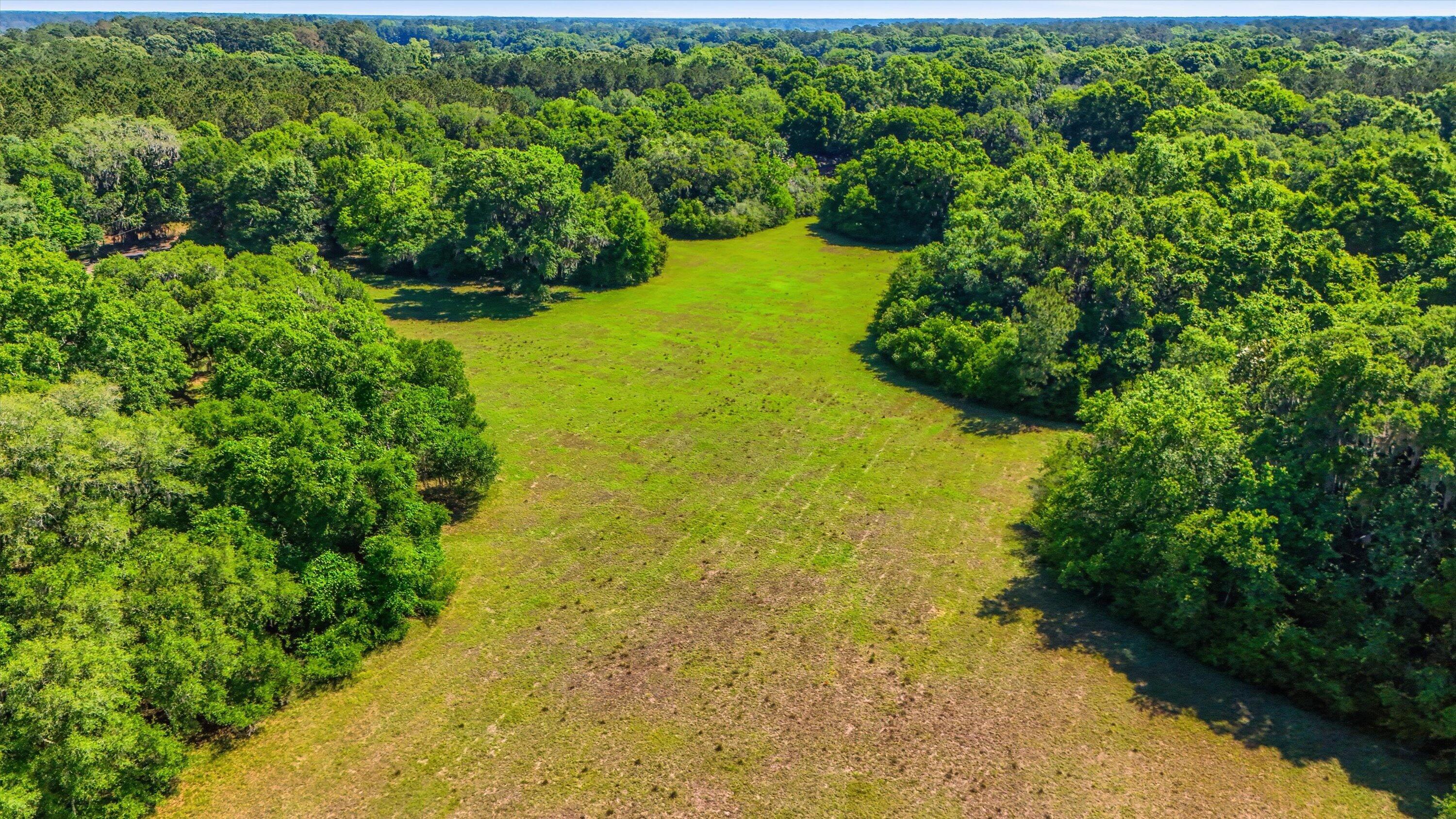7817 Little Britton Road, Unit LOT C2 Meggett, SC 29449 - Photo 11 of 21