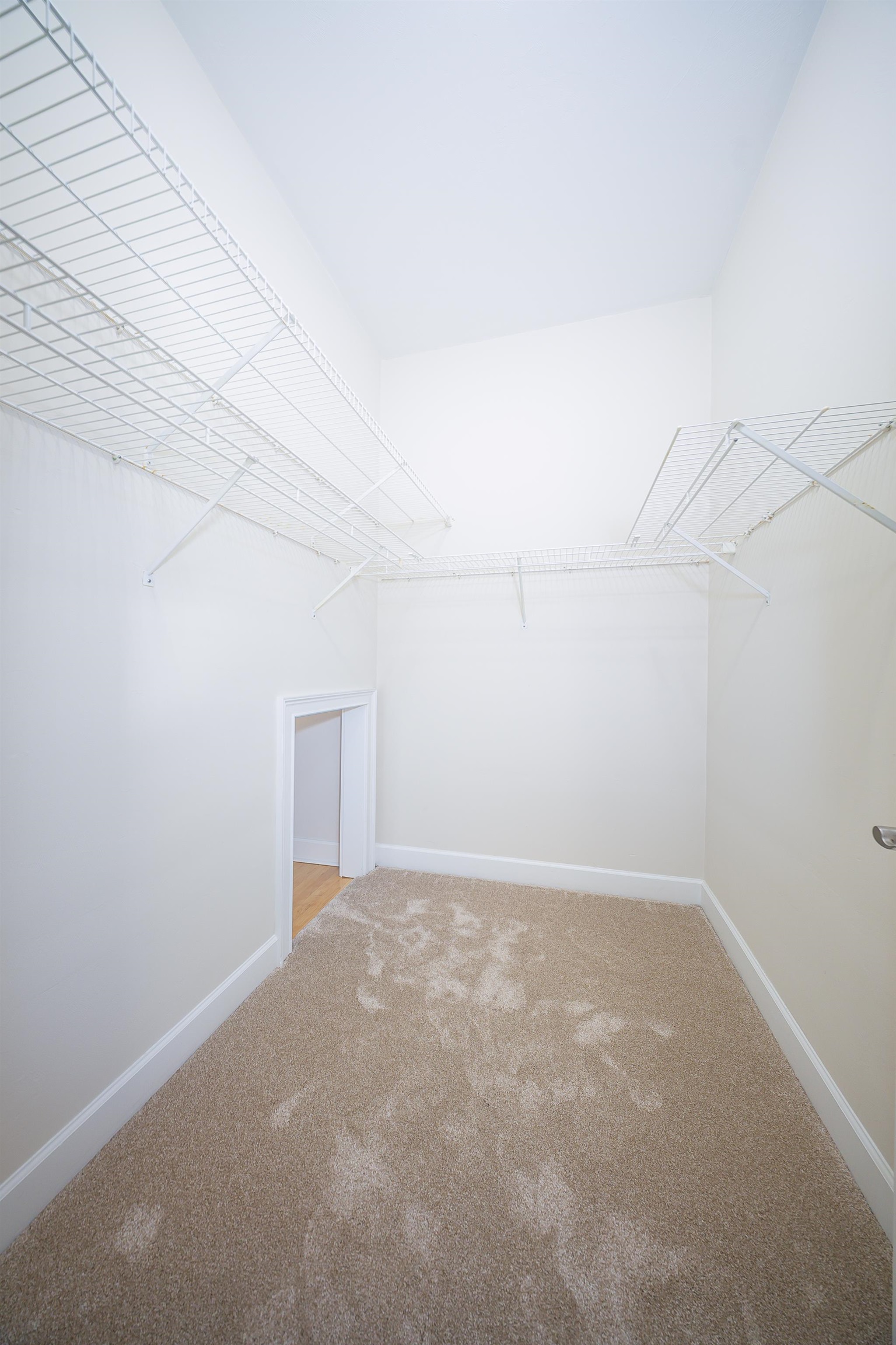 6982 Grenville Road Tallahassee, FL 32309 - Photo 36 of 59