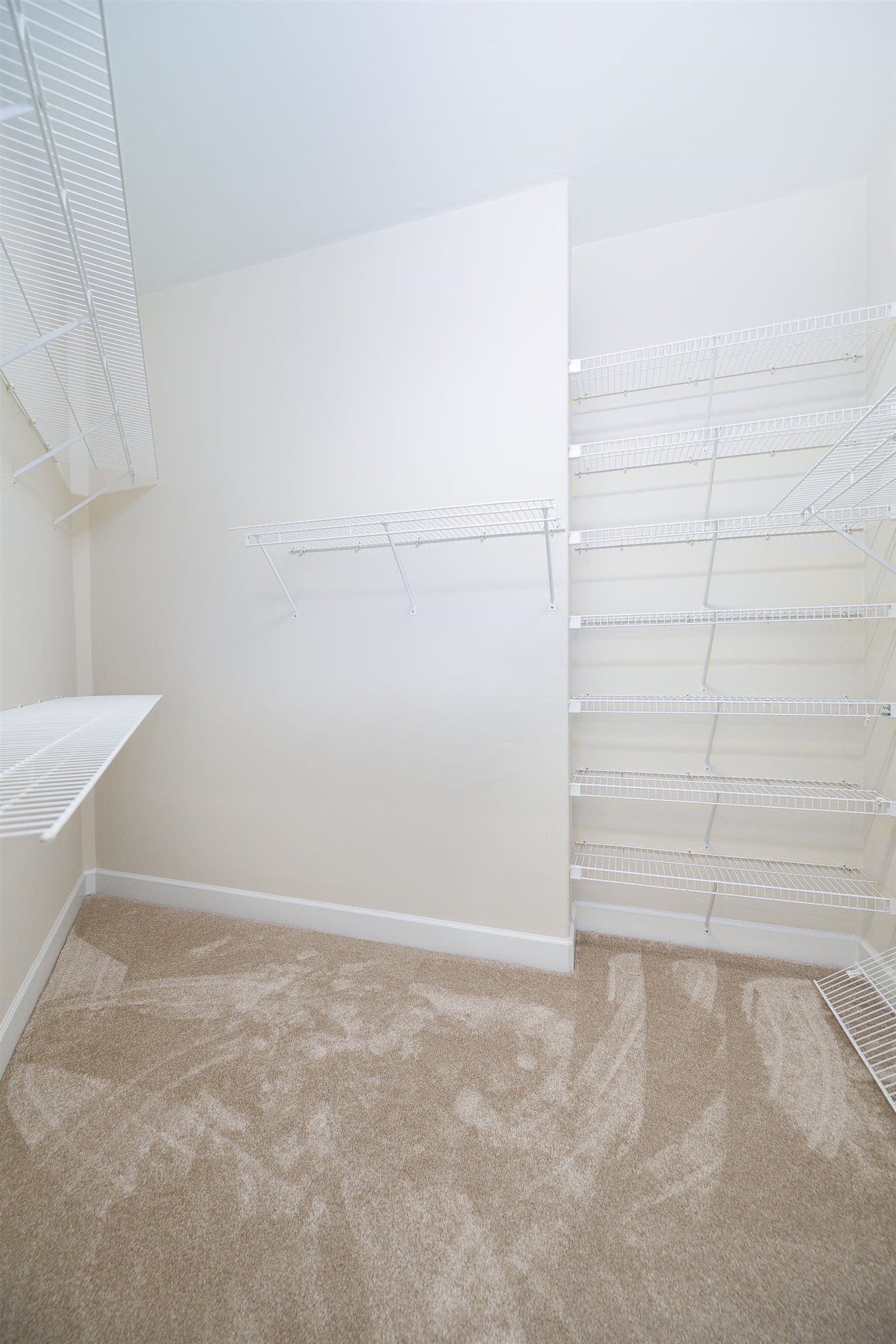 6982 Grenville Road Tallahassee, FL 32309 - Photo 43 of 59