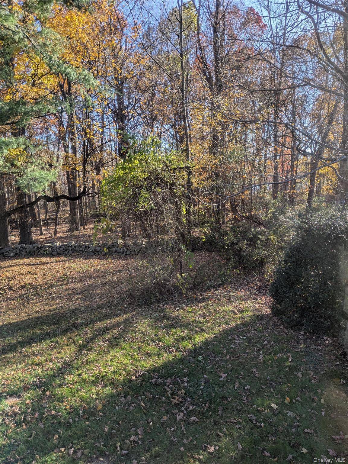 55 Old Little Britain Road Newburgh, NY 12550 - Photo 7 of 44 a view of a yard with trees