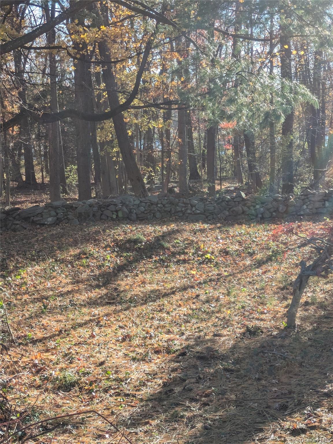 55 Old Little Britain Road Newburgh, NY 12550 - Photo 9 of 44 a view of a yard with large trees
