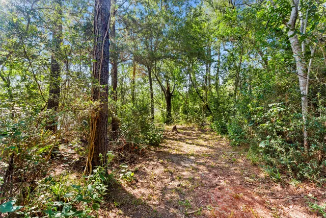 $695,000 | 1500 FM 517 Road East, Dickinson, TX 77539