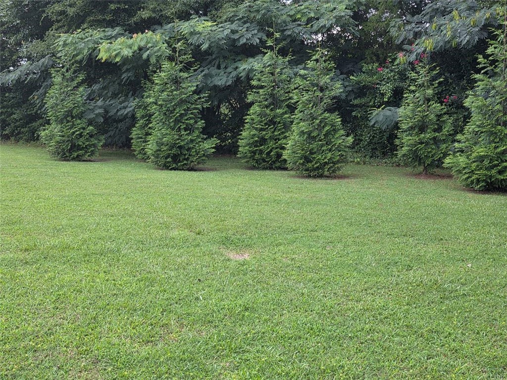 17323 Scotts Factory Road Smithfield, VA 23430 - Photo 11 of 23 Gallery Image 11