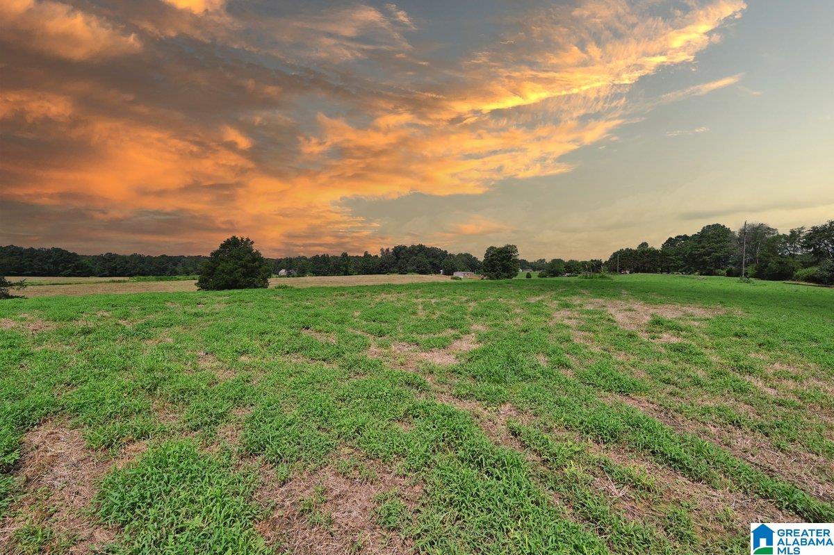 70 Nobinger Road Falkville, AL 35622 - Photo 23 of 23 Gallery Image 23