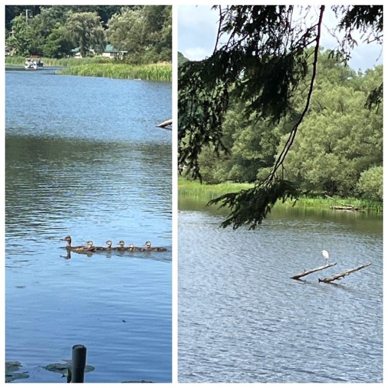 309 Bob Wilson Road Oneonta, NY 13820 - Photo 48 of 50