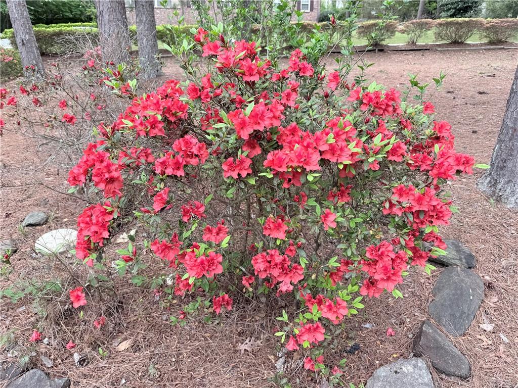 3033 Riviera Drive Conyers, GA 30012 - Photo 3 of 71