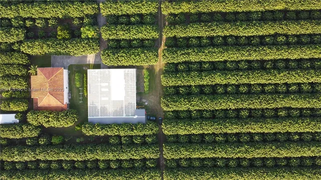 a view of a green field