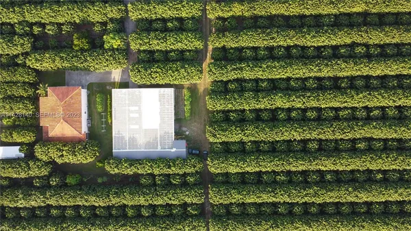 a view of a green field