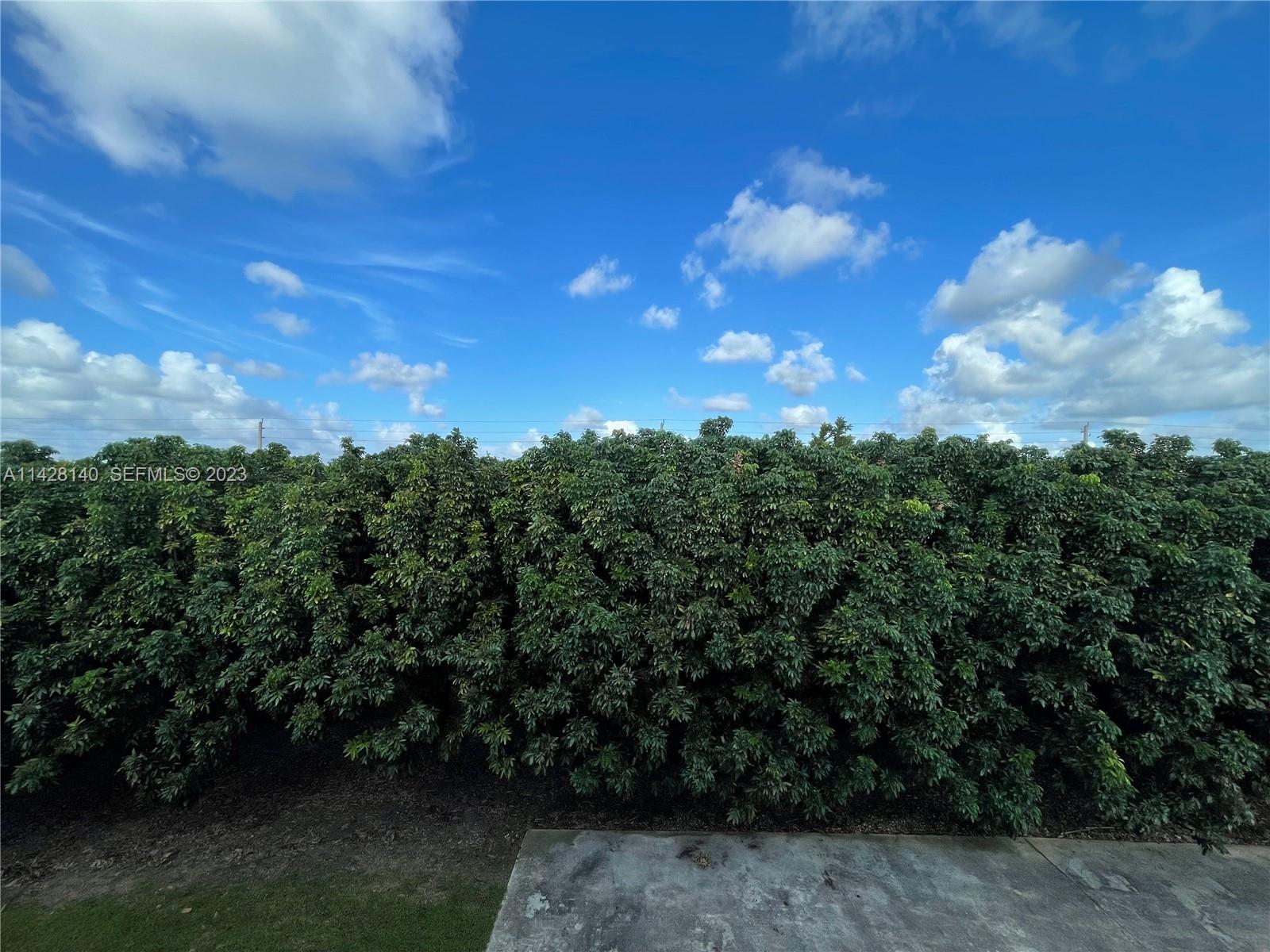 33300 Southwest 202nd Avenue Homestead, FL 33030 - Photo 14 of 42 a view of a city with lush green forest