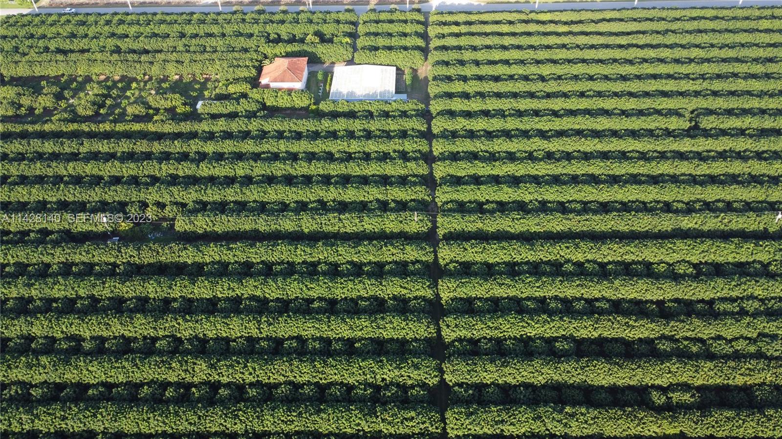 33300 Southwest 202nd Avenue Homestead, FL 33030 - Photo 2 of 42 a view of a green field