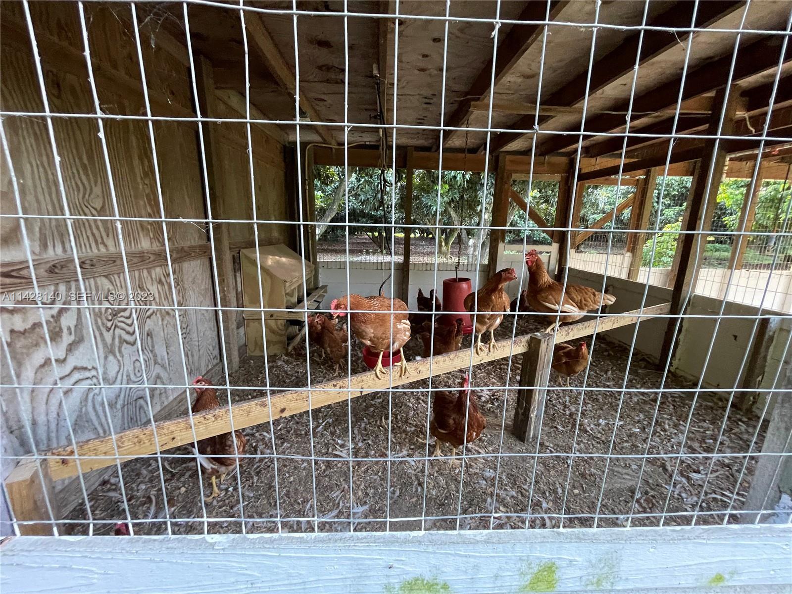 33300 Southwest 202nd Avenue Homestead, FL 33030 - Photo 21 of 42 a view of an empty room with wooden floor and windows