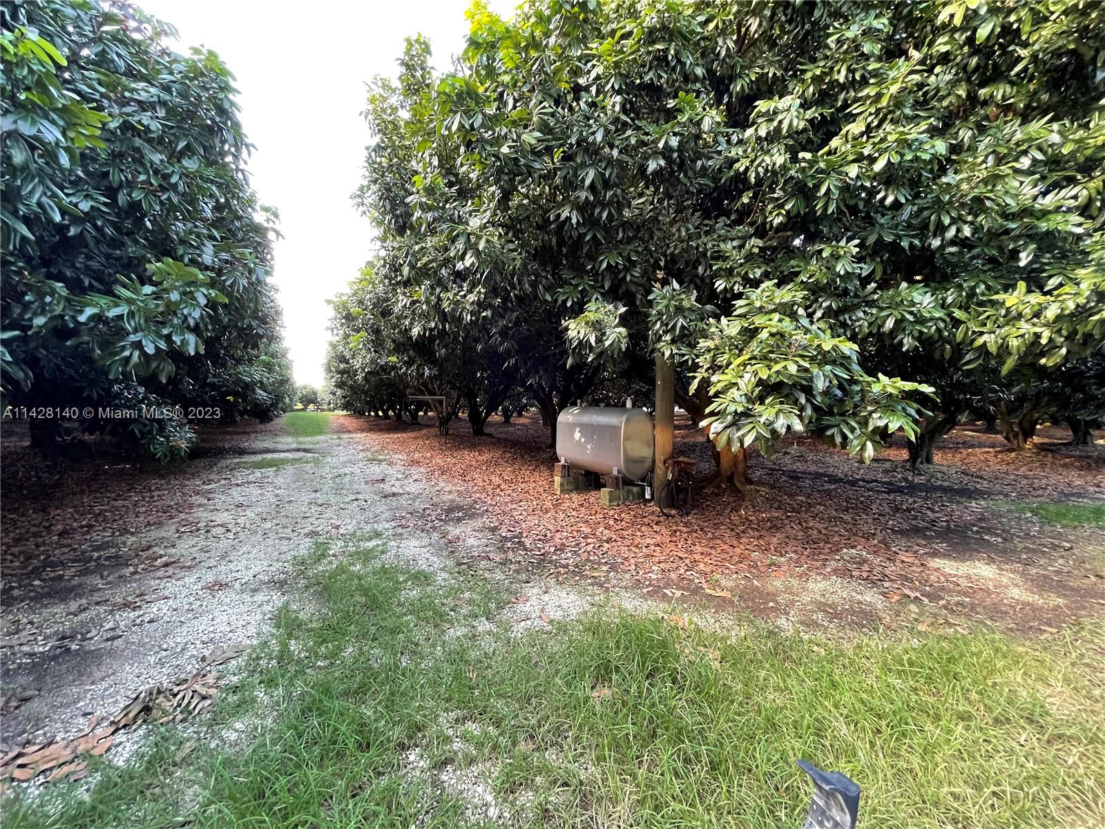 33300 Southwest 202nd Avenue Homestead, FL 33034 - Photo 33 of 42 a backyard of a house with outdoor seating and trees