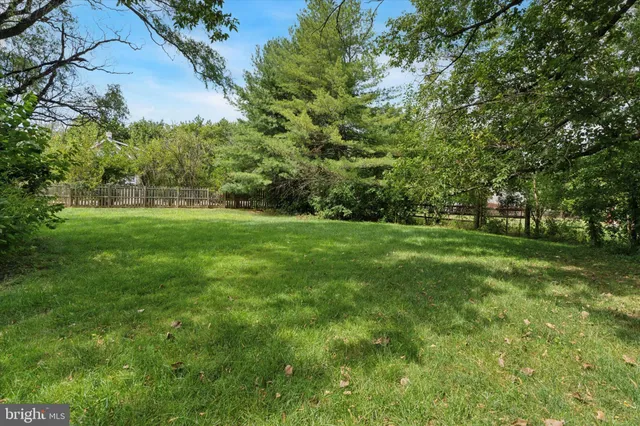 a view of a grassy field with trees