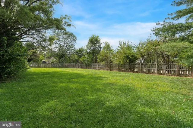 a view of a yard with a tree